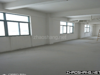 鄂州厂房出租葛店经济开发区3000平米独栋研发楼出租