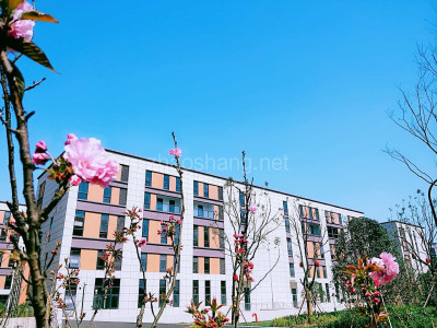 株洲厂房出售株洲市天元区动力谷板块400-2000平米厂房出售