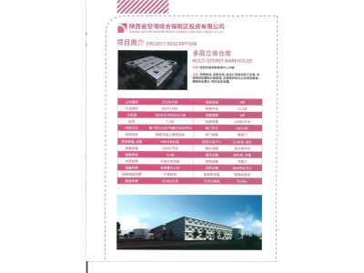 陕西咸阳渭城区西咸空港保税区多层立体仓出租