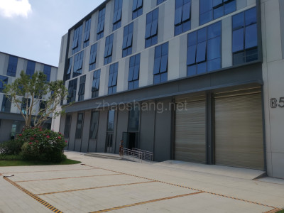 现房出售 滨海新城核心区5A级厂房 层高7米2出售