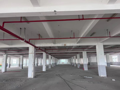 南汇区厂房出租周浦南，独门院104板块研发智造厂房，1千平起分租，可办环评
