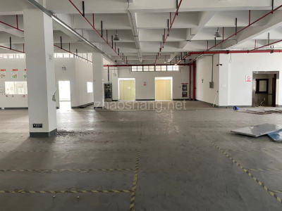 出租大张江底楼3百平高6米无地下适合芯片半导体研发测试组装等