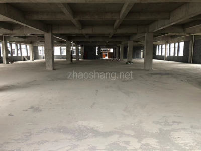 嘉定区厂房出售出售萧山2000方园区厂房，单价3000起，先到先得