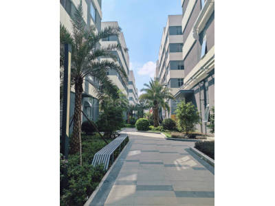 泉州洛江区1280平米厂房出售