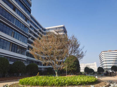 武汉厂房出租武汉江夏区2190平米厂房出售