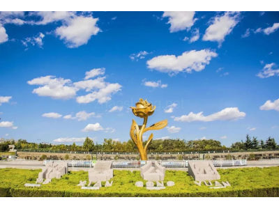 烟台市莱州市16000米国有大证花开嫁日酒店沿街房